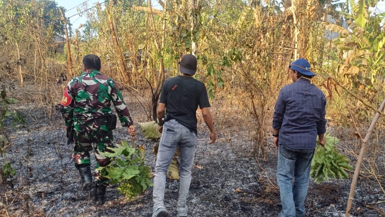*Sinergi Cepat TNI-Polri dan Damkar Padamkan Kebakaran Lahan di Pattallassang Gowa*