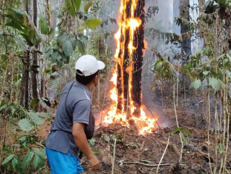 *Babinsa Kodim 1409/Gowa Bersama Warga Padamkan Kebakaran Lahan di Paranglompoa*